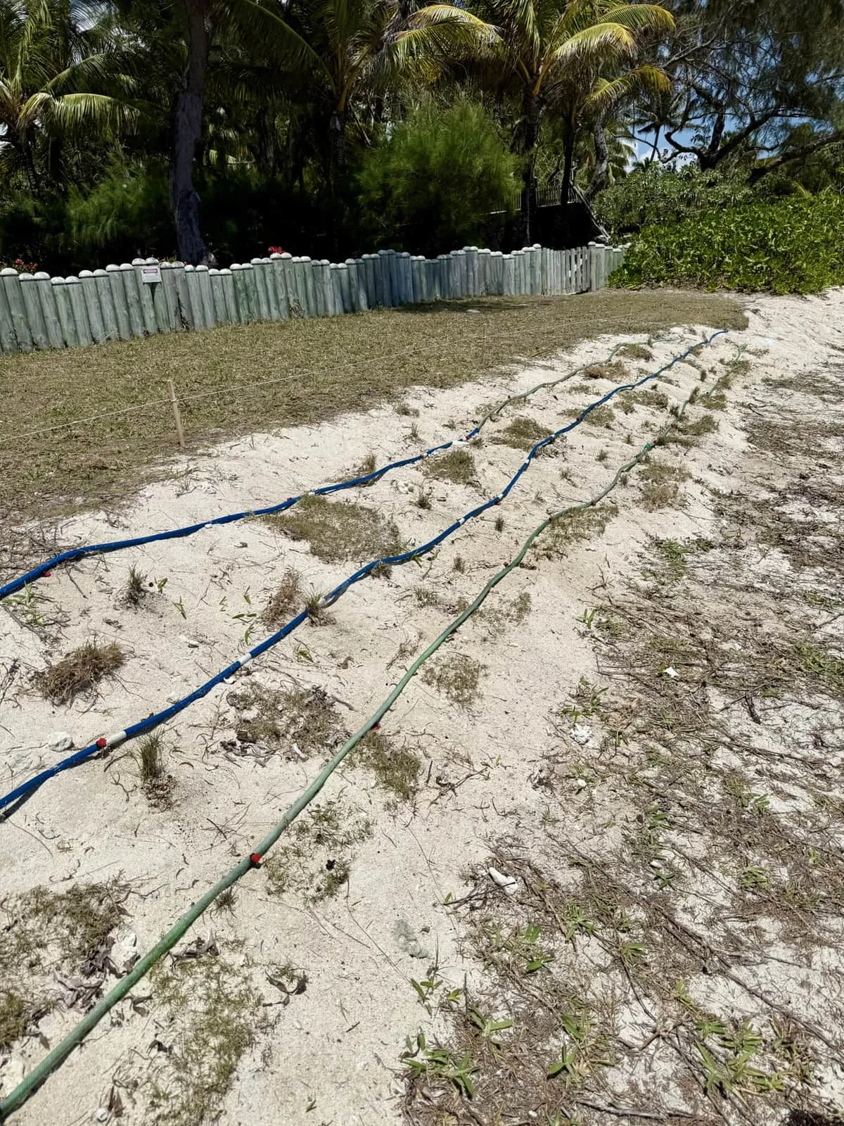 Natural beach restoration works, Poste Lafayette